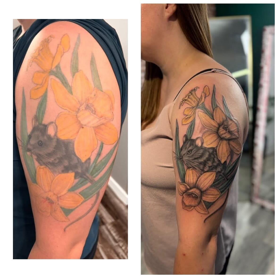 Touch UP’s & Refreshes